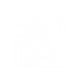 alt image